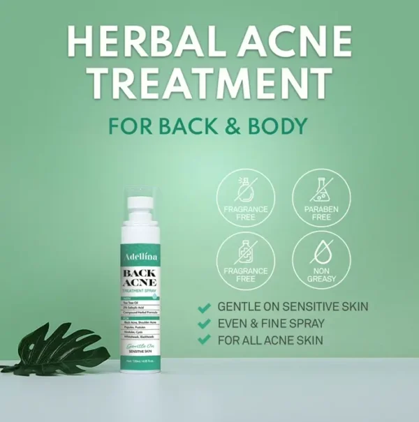 Body Acne Spray: Salicylic Acid, Tea Tree Oil & Niacinamide, 4 oz