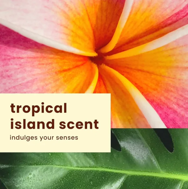 Island Tropic Transparent Feel Ultra Glow Lotion SPF 30, 8oz
